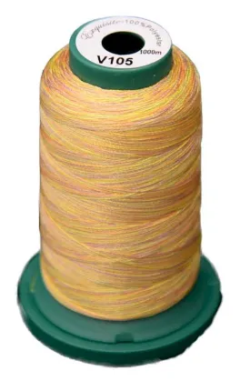 Exquisite Medley Variegated Thread - Citrus 1000M V105