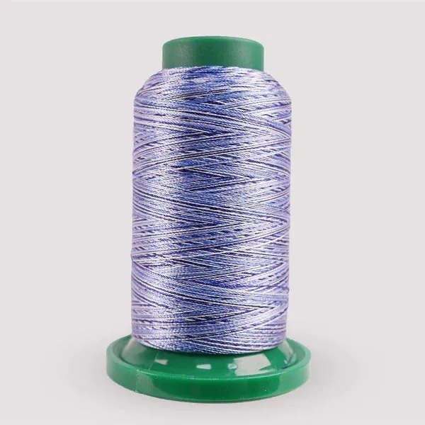 Exquisite Medley Variegated Thread - Denim Blues 1000M V108