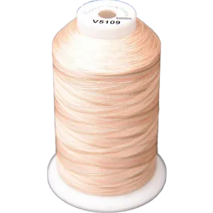 Exquisite Medley Variegated Thread - Desert Canyon 5000M V5109