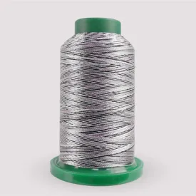 Exquisite Medley Variegated Thread - Zebra 1000M V111