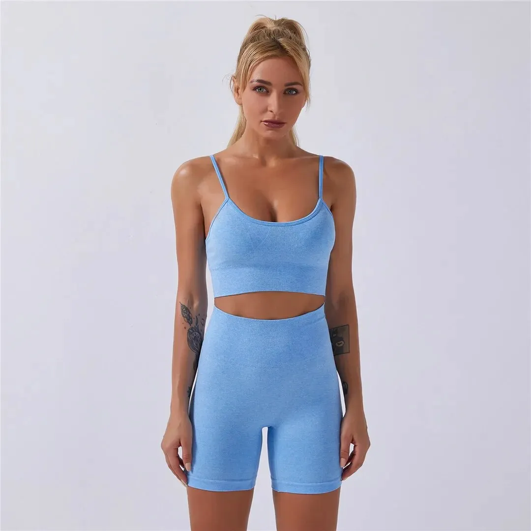 Gym Quick Dry Yoga Wear Fitness Set