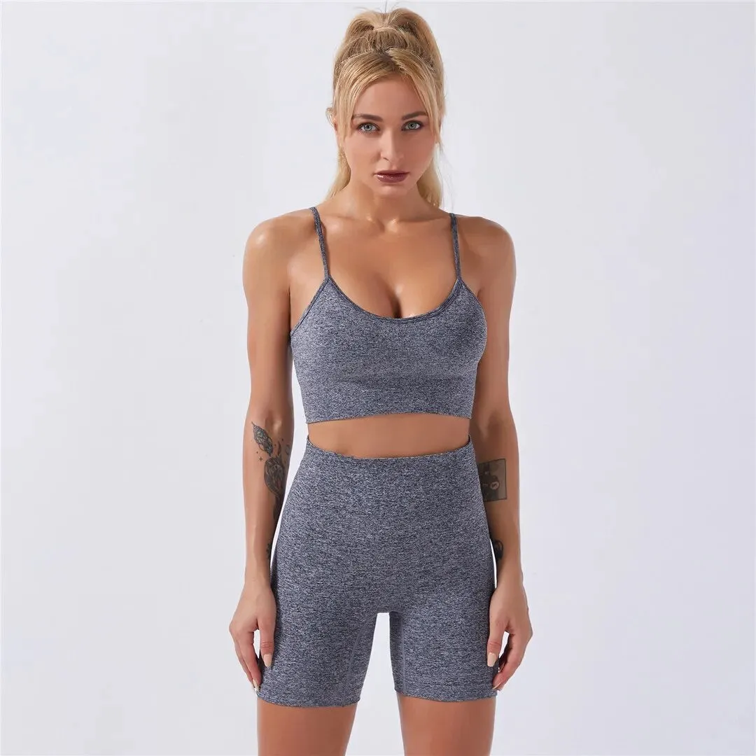 Gym Quick Dry Yoga Wear Fitness Set