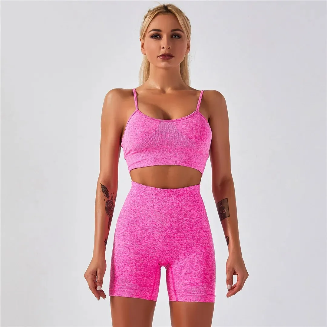 Gym Quick Dry Yoga Wear Fitness Set