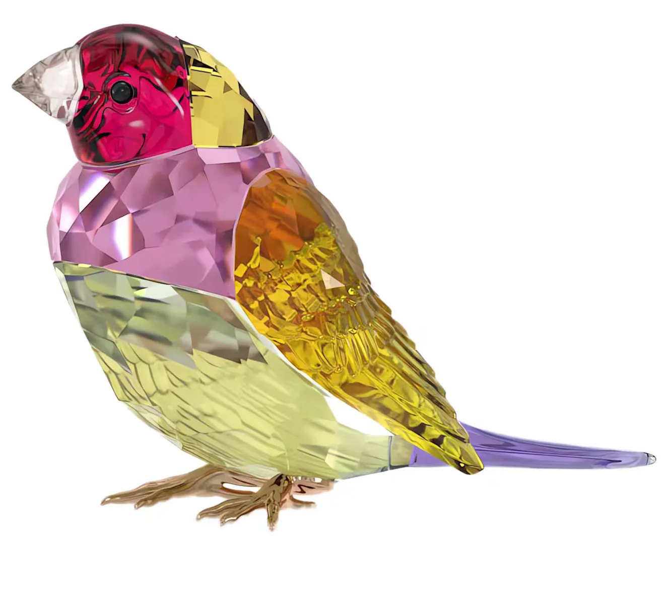 Ldyllia Large SCS Gouldian Finch