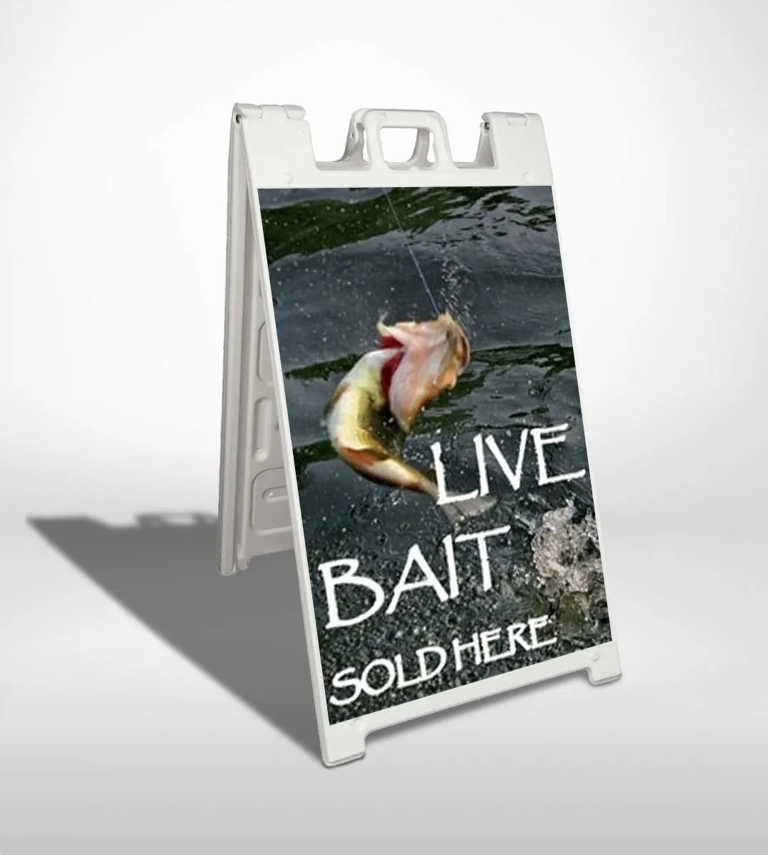 Live Bait- 24"w x 36"h .040 Styrene Insert