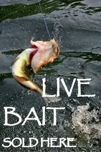 Live Bait- 24"w x 36"h .040 Styrene Insert