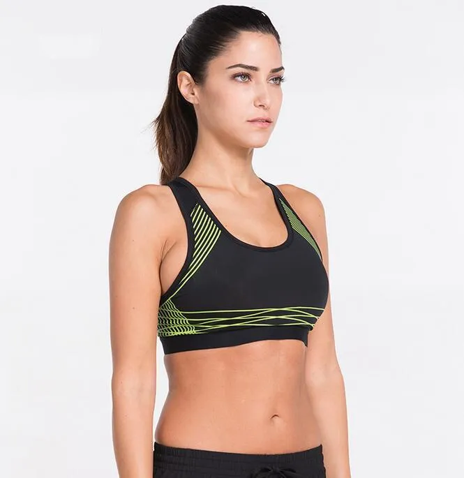 Modern High Performance Sports Bra SQ for Women