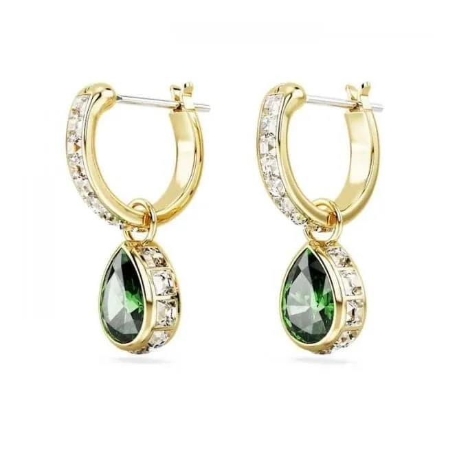 Stilla Pear Cut Green Gold-tone plated Drop Earrings 5662922